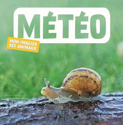 Météo - Image principale