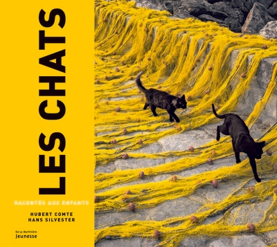 Les chats racontés aux enfants - Image principale