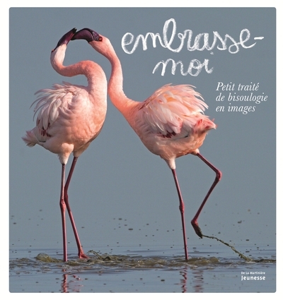 Embrasse-moi - Image principale