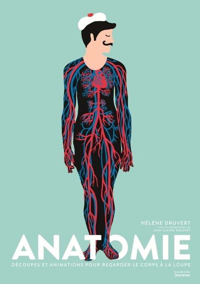 Anatomie - Image principale