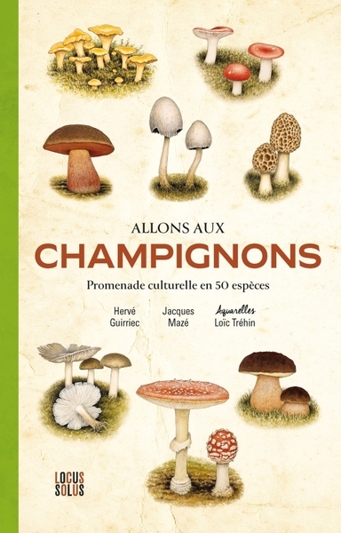 Allons aux champignons - Image principale