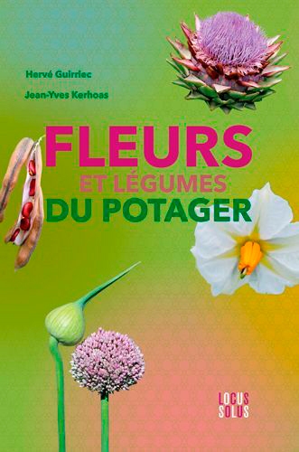 Fleurs et légumes du potager - Image principale