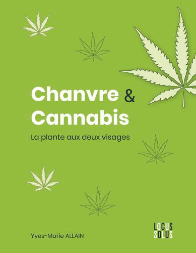 Chanvre et cannabis - la plante aux deux visages - Image principale