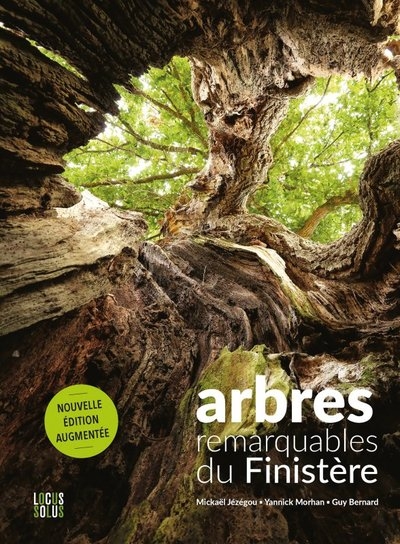 Arbres remarquables du finistère - Image principale
