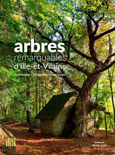 Arbres remarquables d'ille-et-vilaine - Image principale