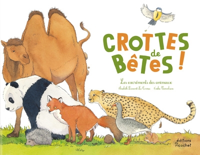 Crottes de bêtes - les excréments des animaux - Image principale