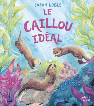 Le caillou idéal - Image principale