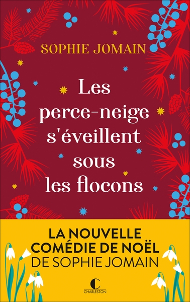 Les perce-neige s'éveillent sous les flocons - Image principale