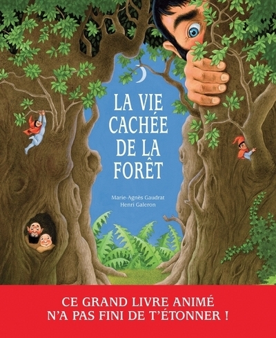 La vie cachée de la forêt - Image principale
