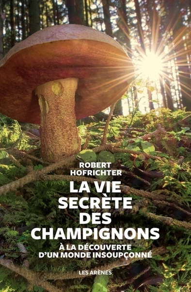 La vie secrète des champignons - Image principale