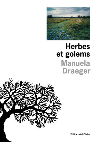 Herbes et golems - Image principale