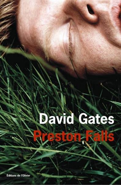 Preston falls - Image principale