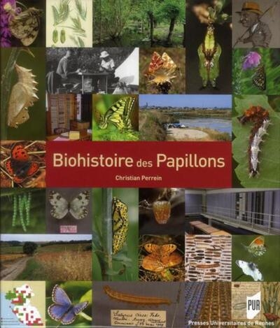 Biohistoire des papillons - Image principale