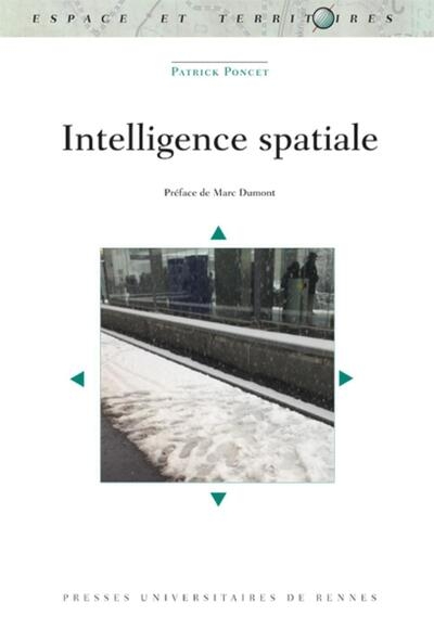 Intelligence spatiale - Image principale
