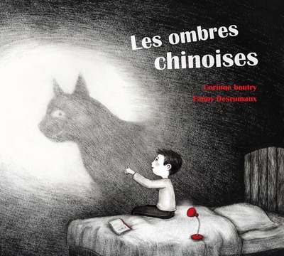 Les ombres chinoises - Image principale