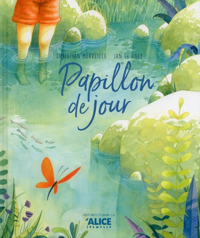 Papillon de jour - Image principale
