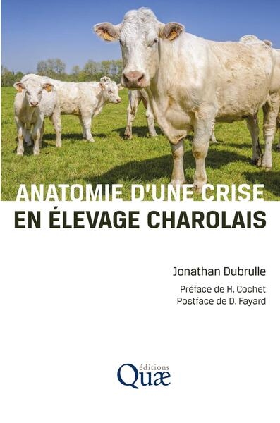 Anatomie d'une crise en élevage charolais - Image principale