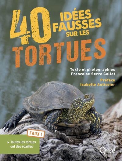 40 idées fausses sur les tortues - Image principale
