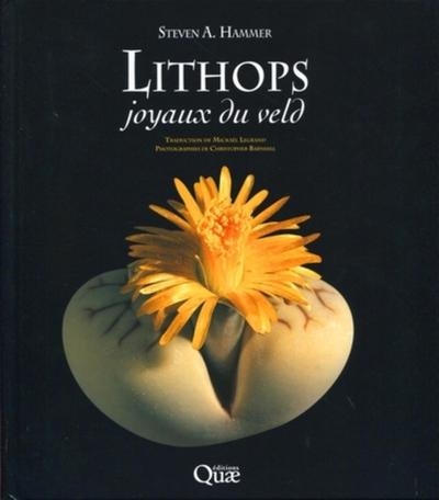Lithops, joyaux du veld - Image principale