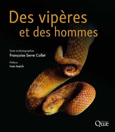 Des vipères et des hommes - Image principale