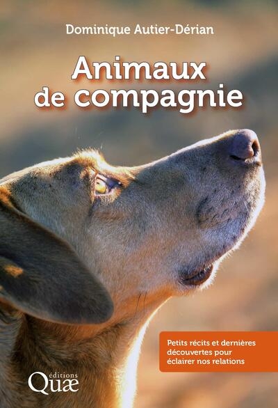 Les animaux de compagnie - Image principale