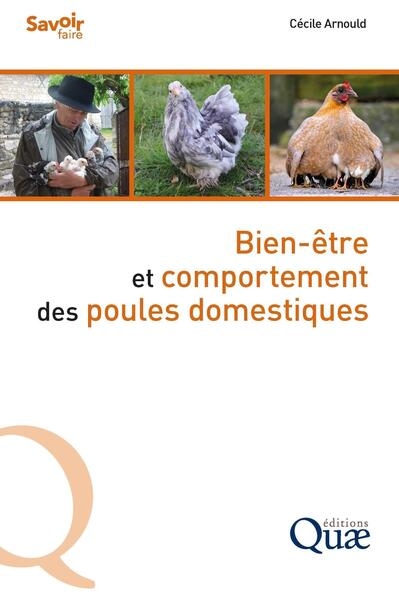 Bien-être et comportement des poules domestiques - Image principale