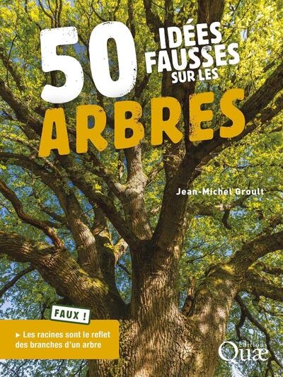 50 idées fausses sur les arbres - Image principale