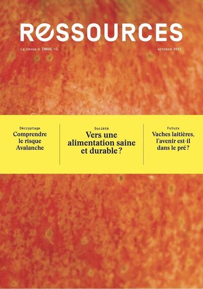 Ressources #1 - Image principale