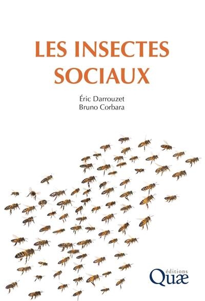 Les insectes sociaux - Image principale