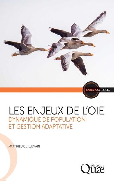 Les enjeux de l'oie - Image principale
