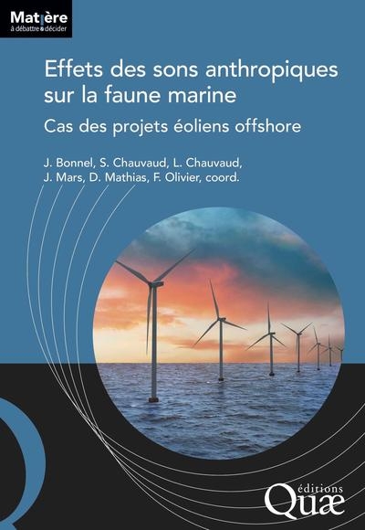 Effets des sons anthropiques sur la faune marine - Image principale