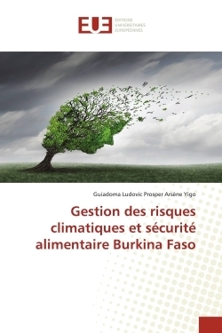 Gestion des risques climatiques et sécurité alimentaire burkina faso - Image principale