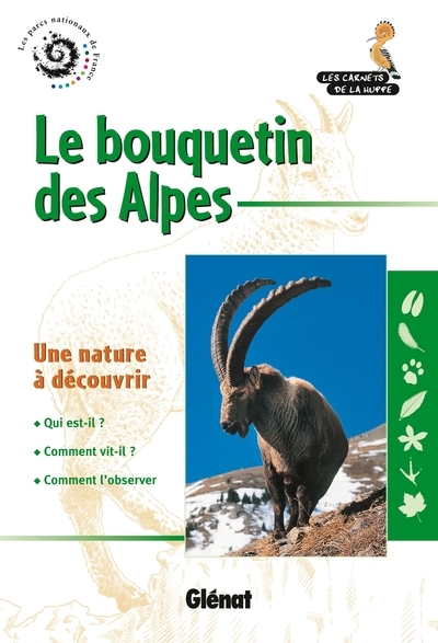 Le bouquetin des alpes - Image principale