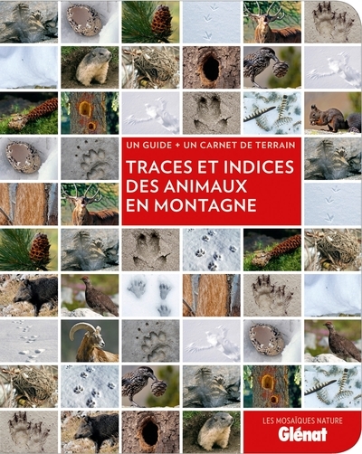 Traces et indices des animaux en montagne - Image principale