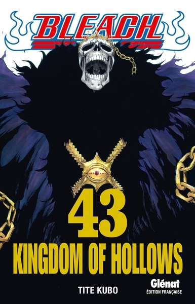Bleach - tome 43 - Image principale