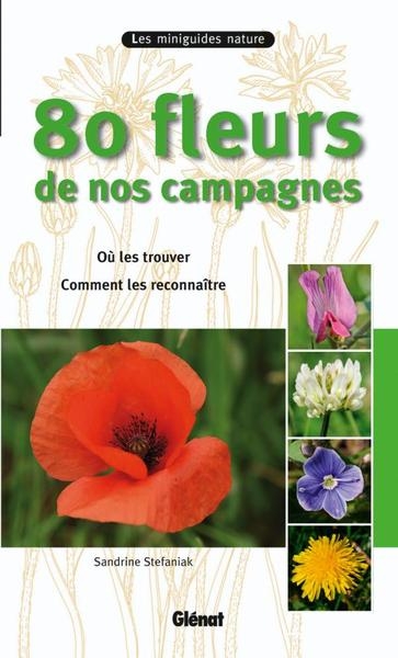 80 fleurs de nos campagnes - Image principale