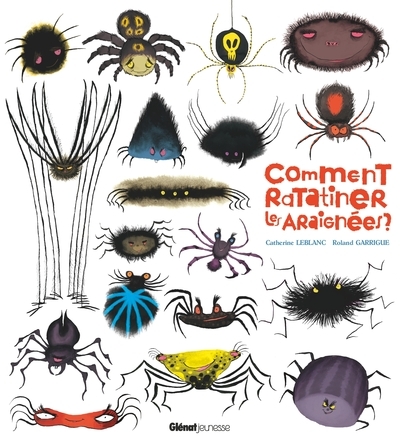 Comment ratatiner les araignées ? - Image principale