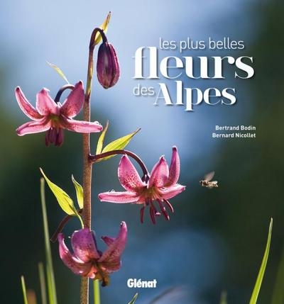 Les plus belles fleurs des alpes - Image principale