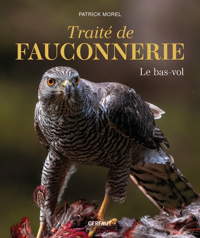 Traité de fauconnerie - le bas-vol - Image principale