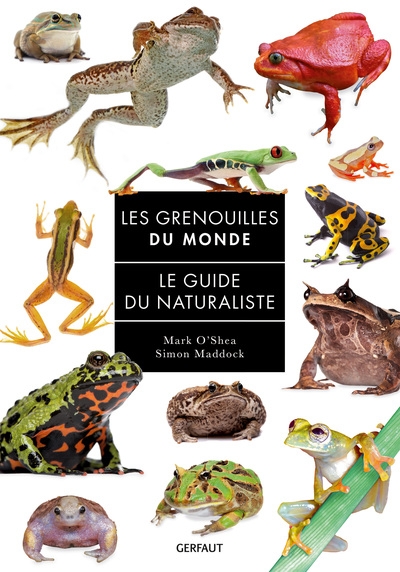 Grenouilles du monde - Image principale