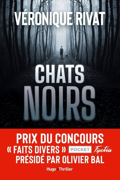 Chats noirs - Image principale