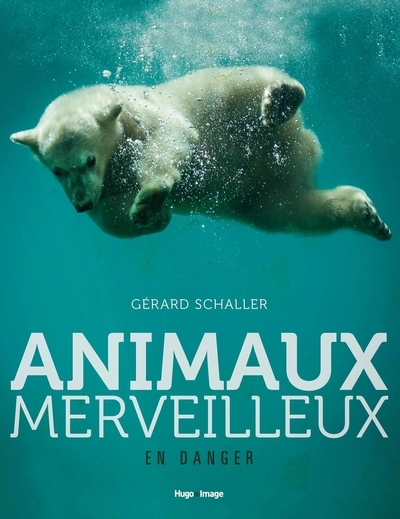 Animaux merveilleux en danger - Image principale