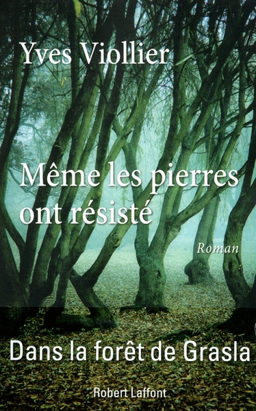 Même les pierres ont résisté - Image principale