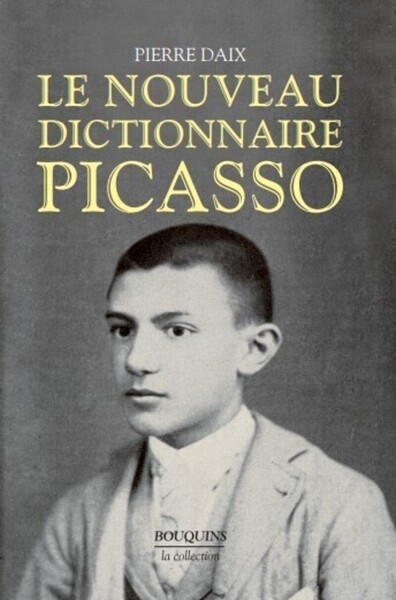 Le nouveau dictionnaire picasso - Image principale