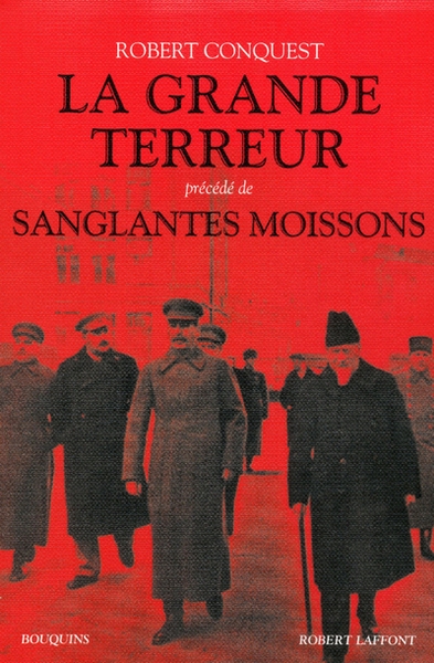 La grande terreur - Image principale