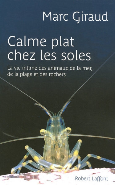 Calme plat chez les soles - Image principale