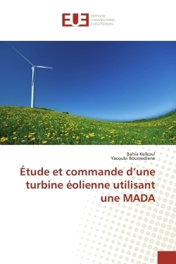 Étude et commande d'une turbine éolienne utilisant une mada - Image principale