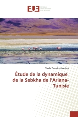 Étude de la dynamique de la sebkha de l'ariana-tunisie - Image principale