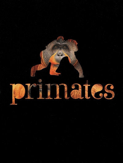 Primates - Image principale