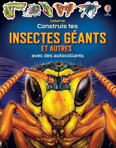 Construis tes insectes géants et autres avec des autocollants - dès 5 ans - Image principale